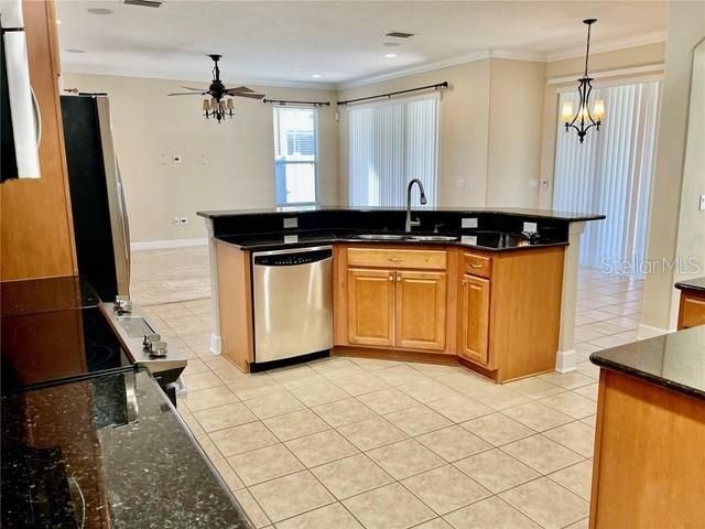 9654 Jasmine Brook Circle, Land O Lakes, FL 34638 Photo