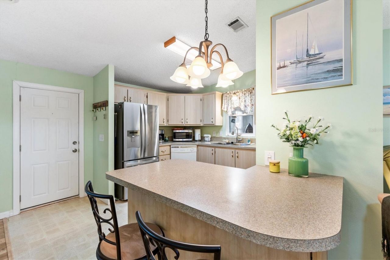 1228 Palmetto Drive, The Villages, FL 32159 Photo