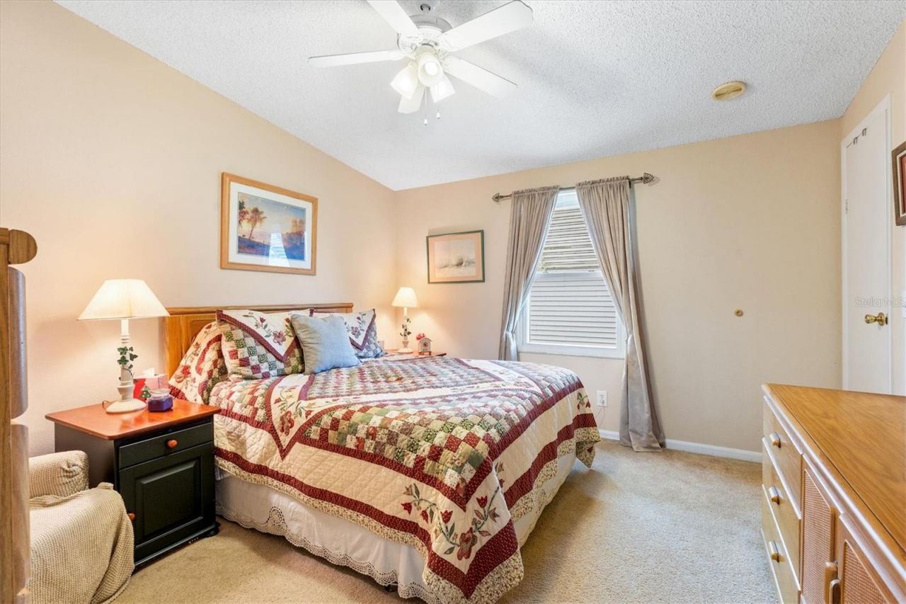 1228 Palmetto Drive, The Villages, FL 32159 Photo