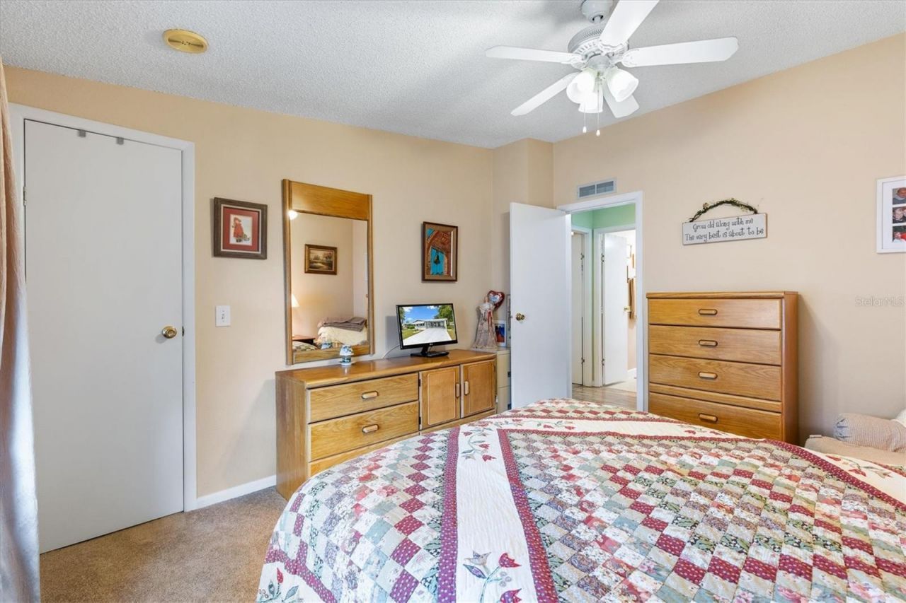 1228 Palmetto Drive, The Villages, FL 32159 Photo