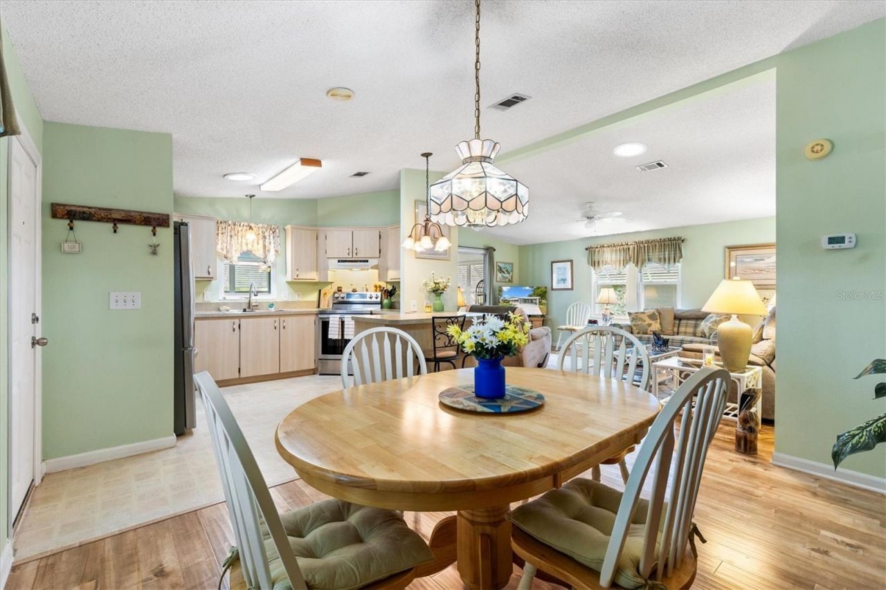 1228 Palmetto Drive, The Villages, FL 32159 Photo