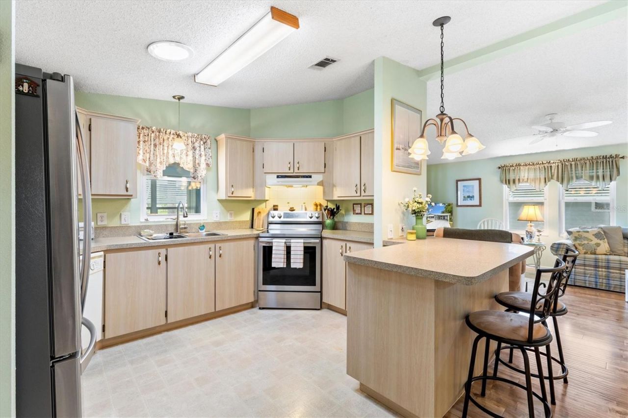 1228 Palmetto Drive, The Villages, FL 32159 Photo