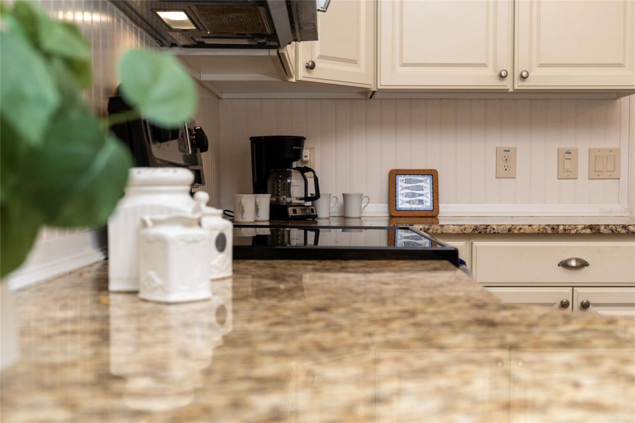 854 Fenwick Loop, The Villages, FL 32163 Photo