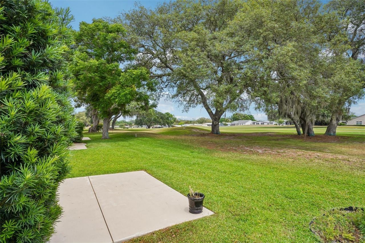 1620 W Schwartz Boulevard, The Villages, FL 32159 Photo