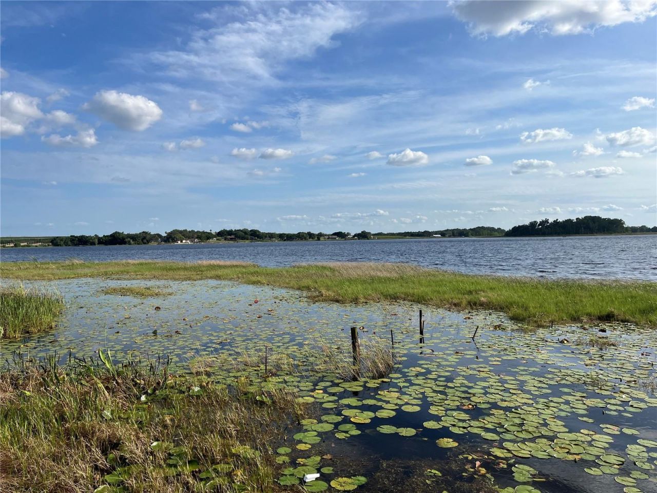 1794 Perch Hammock Loop , Groveland, FL 34736 Photo