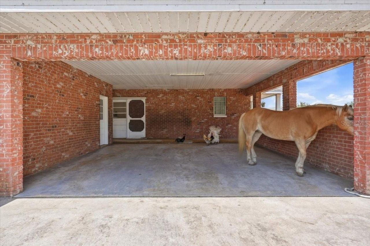 303 Karppe Road, Plant City, FL 33567 Photo
