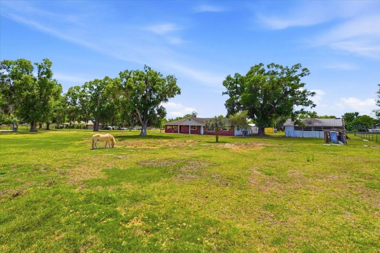 303 Karppe Road, Plant City, FL 33567 Photo
