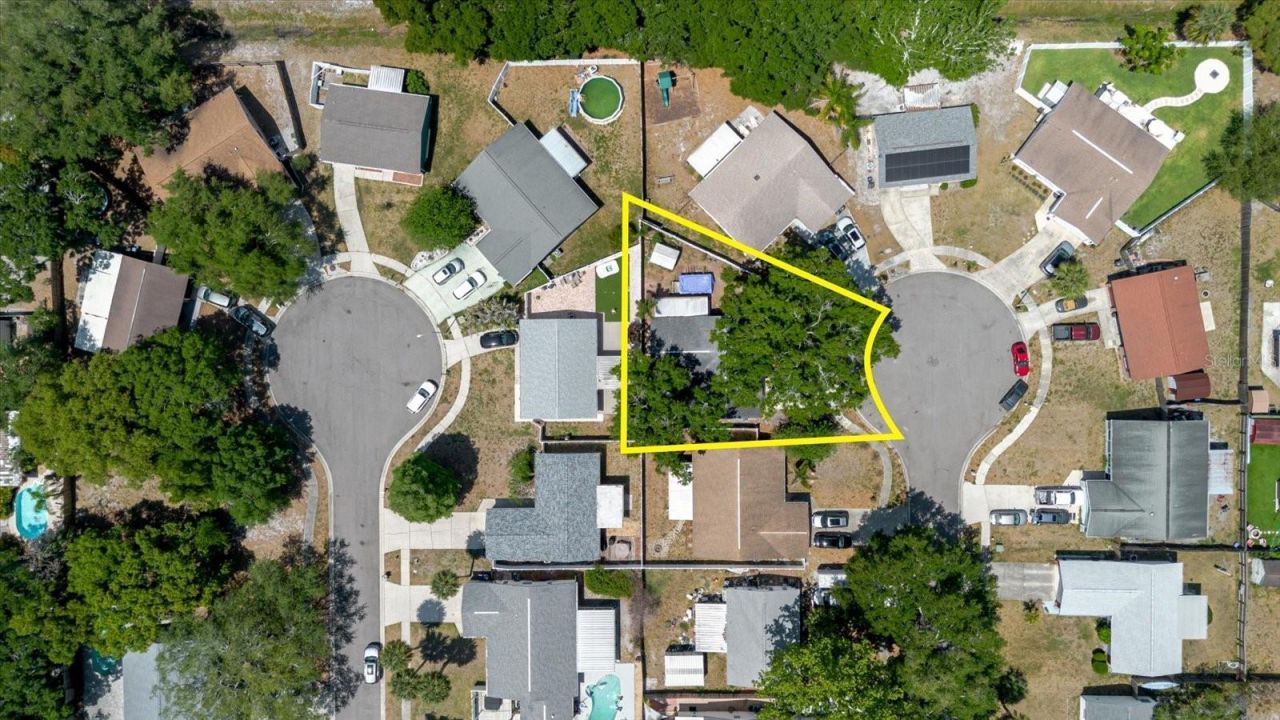 2009 Peppertree Court, Oldsmar, FL 34677 Photo
