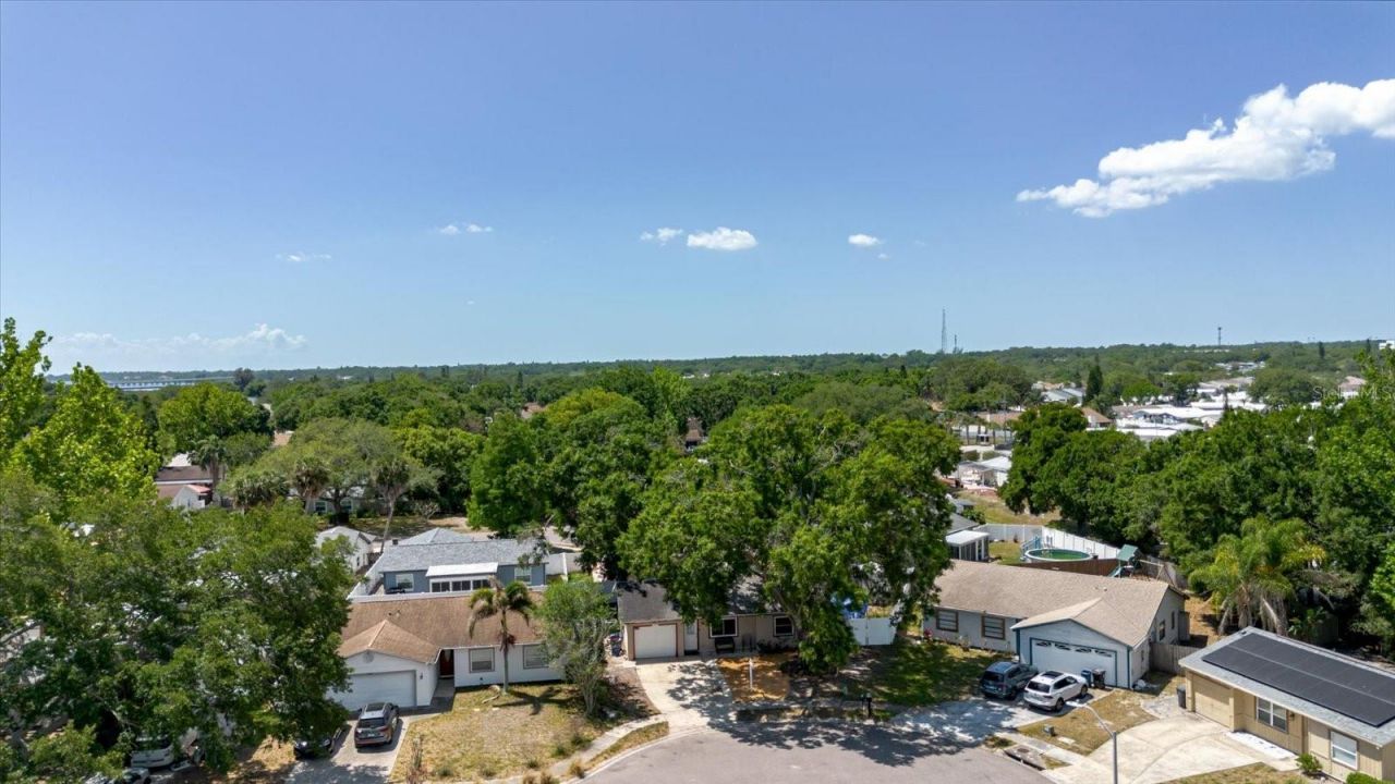 2009 Peppertree Court, Oldsmar, FL 34677 Photo