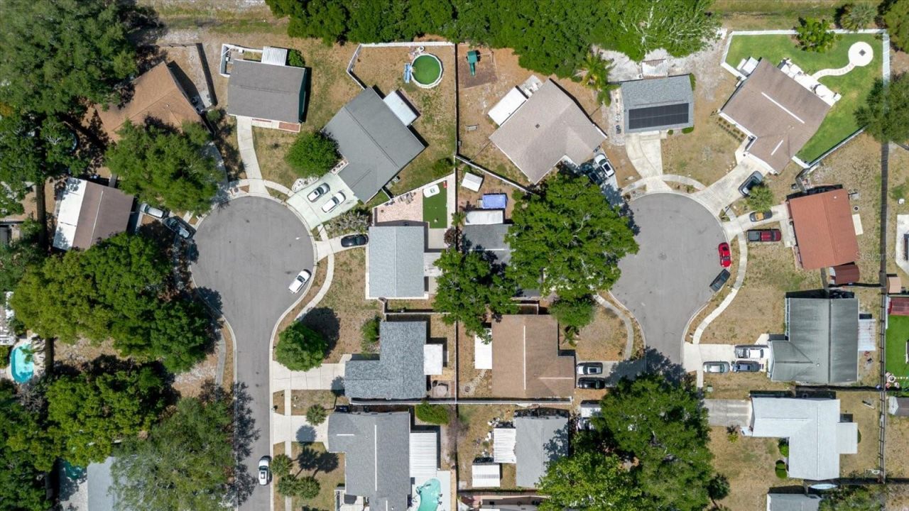 2009 Peppertree Court, Oldsmar, FL 34677 Photo