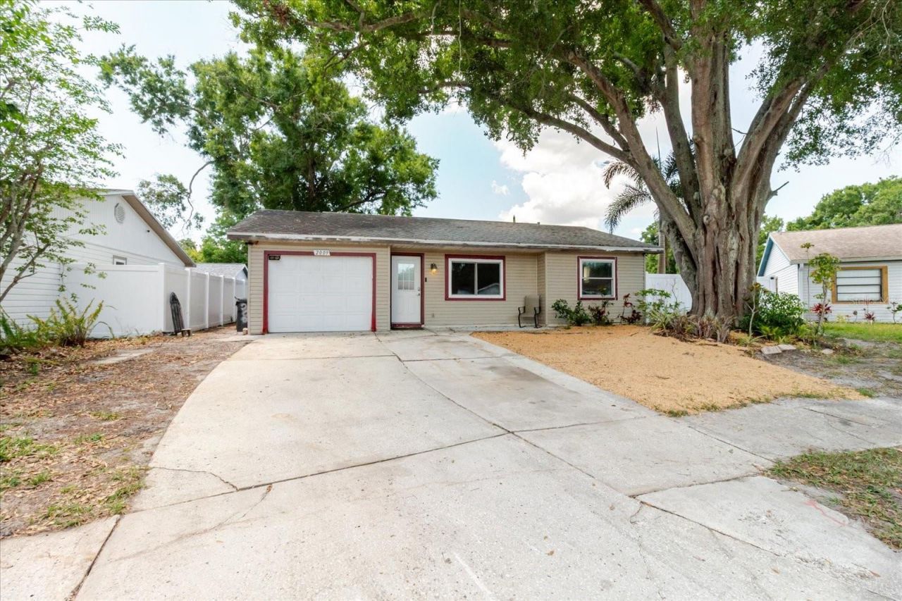 2009 Peppertree Court, Oldsmar, FL 34677 Photo