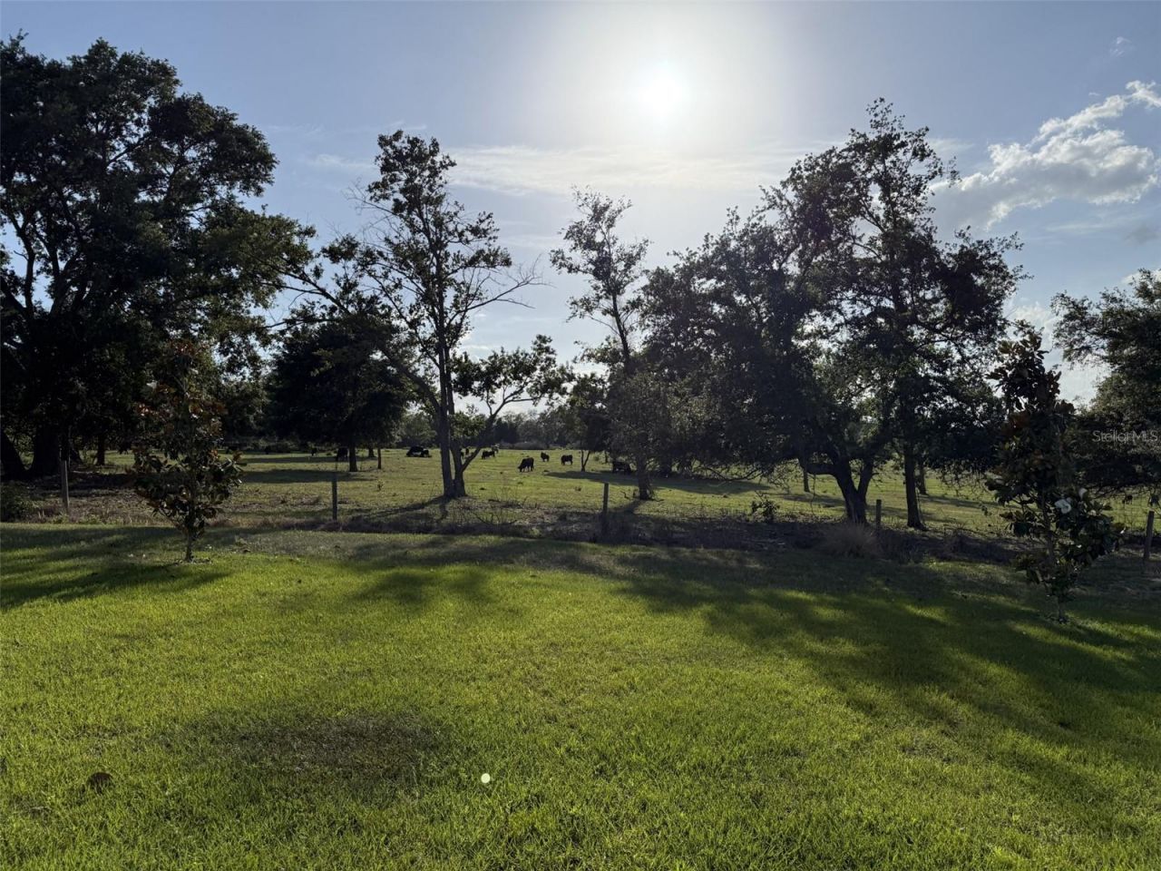 1507 Geranium Drive , Mascotte, FL 34753 Photo