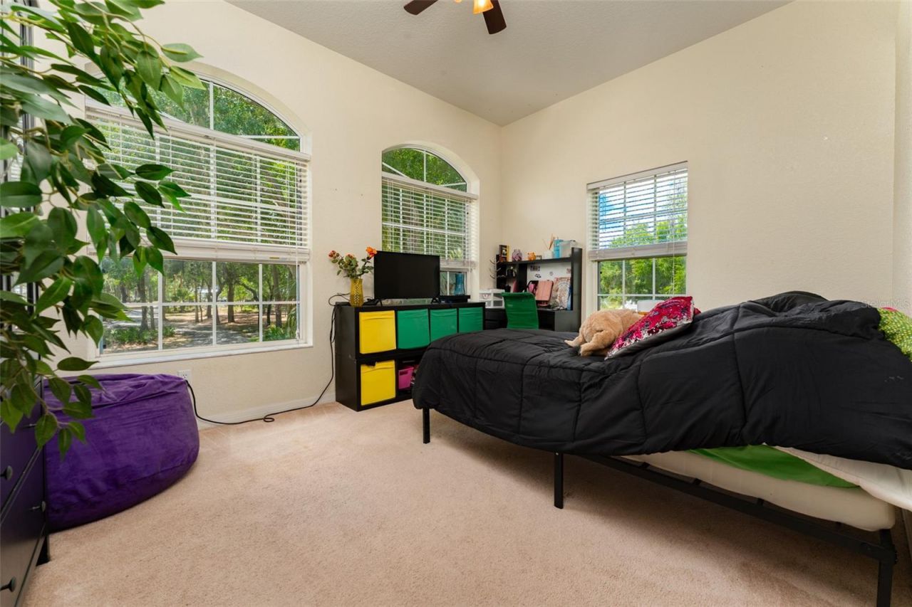 8214 Revels Road, Riverview, FL 33569 Photo