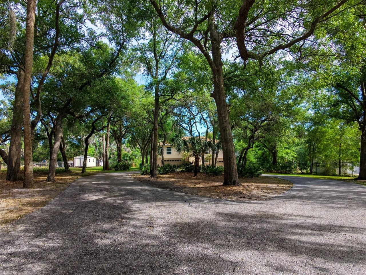 8214 Revels Road, Riverview, FL 33569 Photo