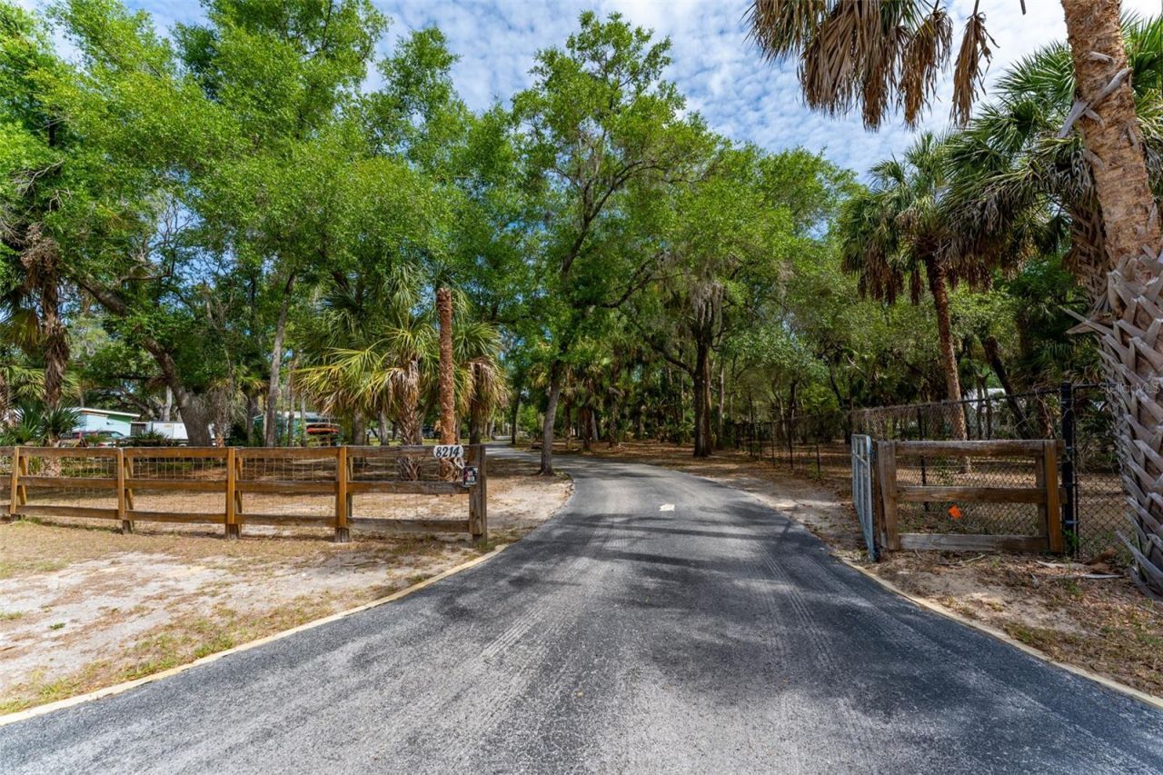 8214 Revels Road, Riverview, FL 33569 Photo