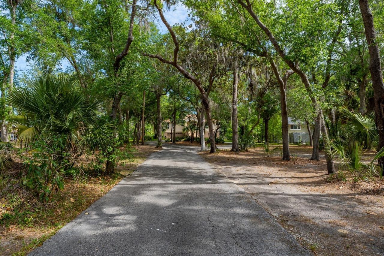 8214 Revels Road, Riverview, FL 33569 Photo