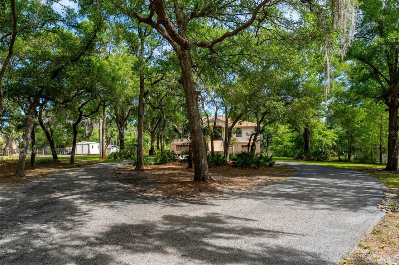 8214 Revels Road, Riverview, FL 33569 Photo