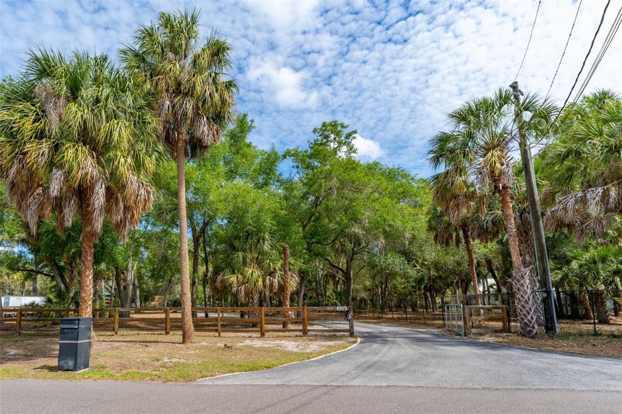 8214 Revels Road, Riverview, FL 33569 Photo