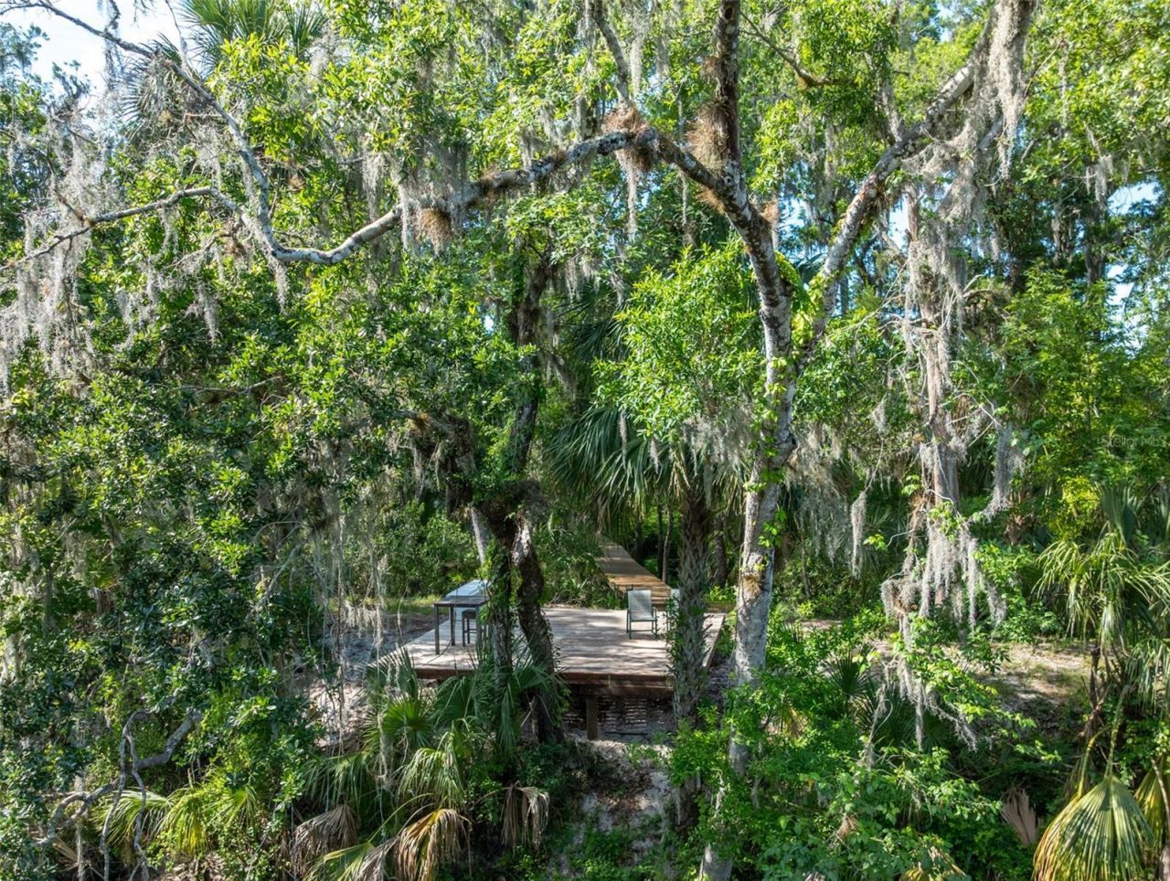 8214 Revels Road, Riverview, FL 33569 Photo
