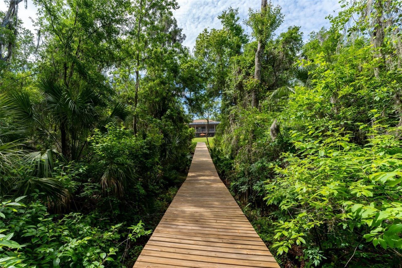 8214 Revels Road, Riverview, FL 33569 Photo