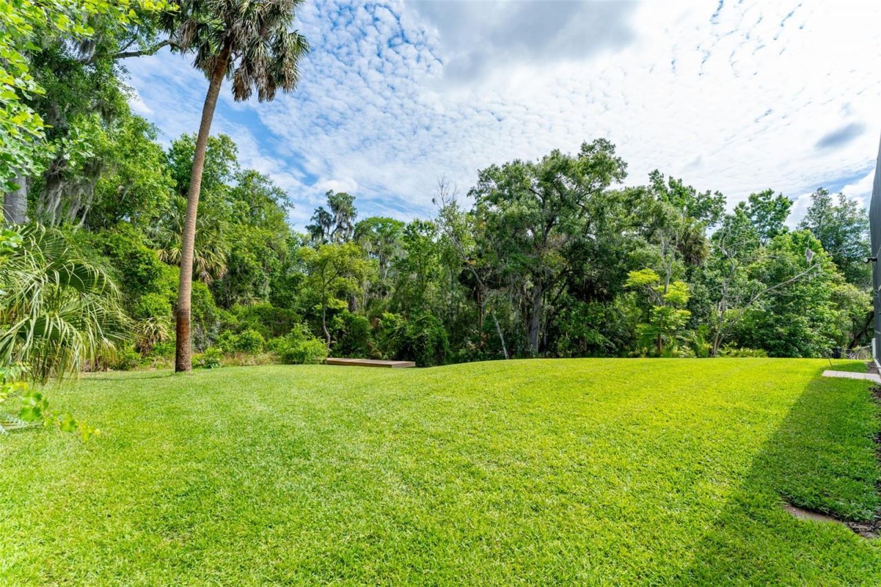 8214 Revels Road, Riverview, FL 33569 Photo