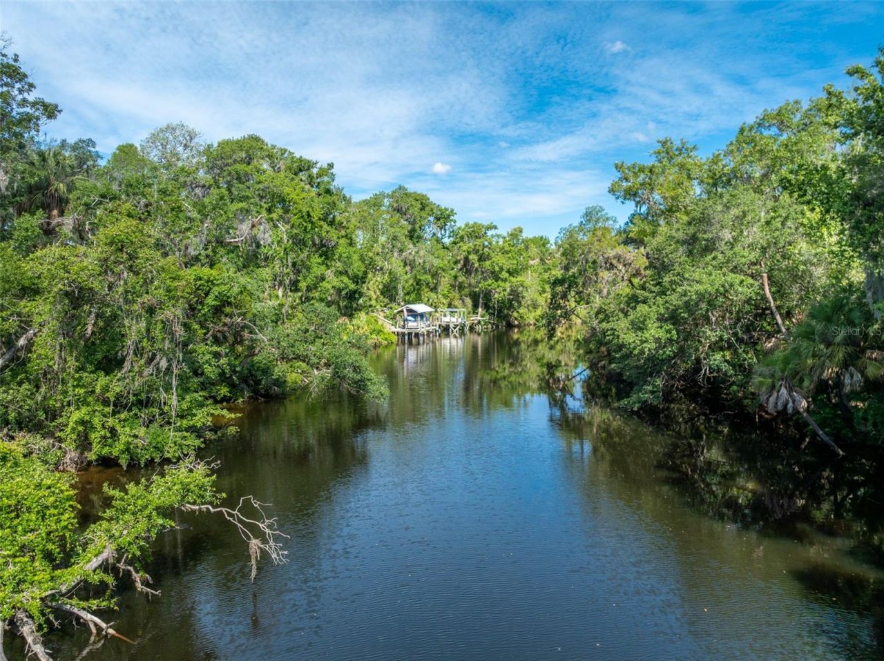 8214 Revels Road, Riverview, FL 33569 Photo