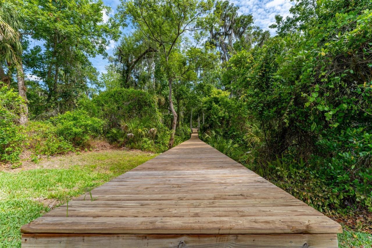 8214 Revels Road, Riverview, FL 33569 Photo