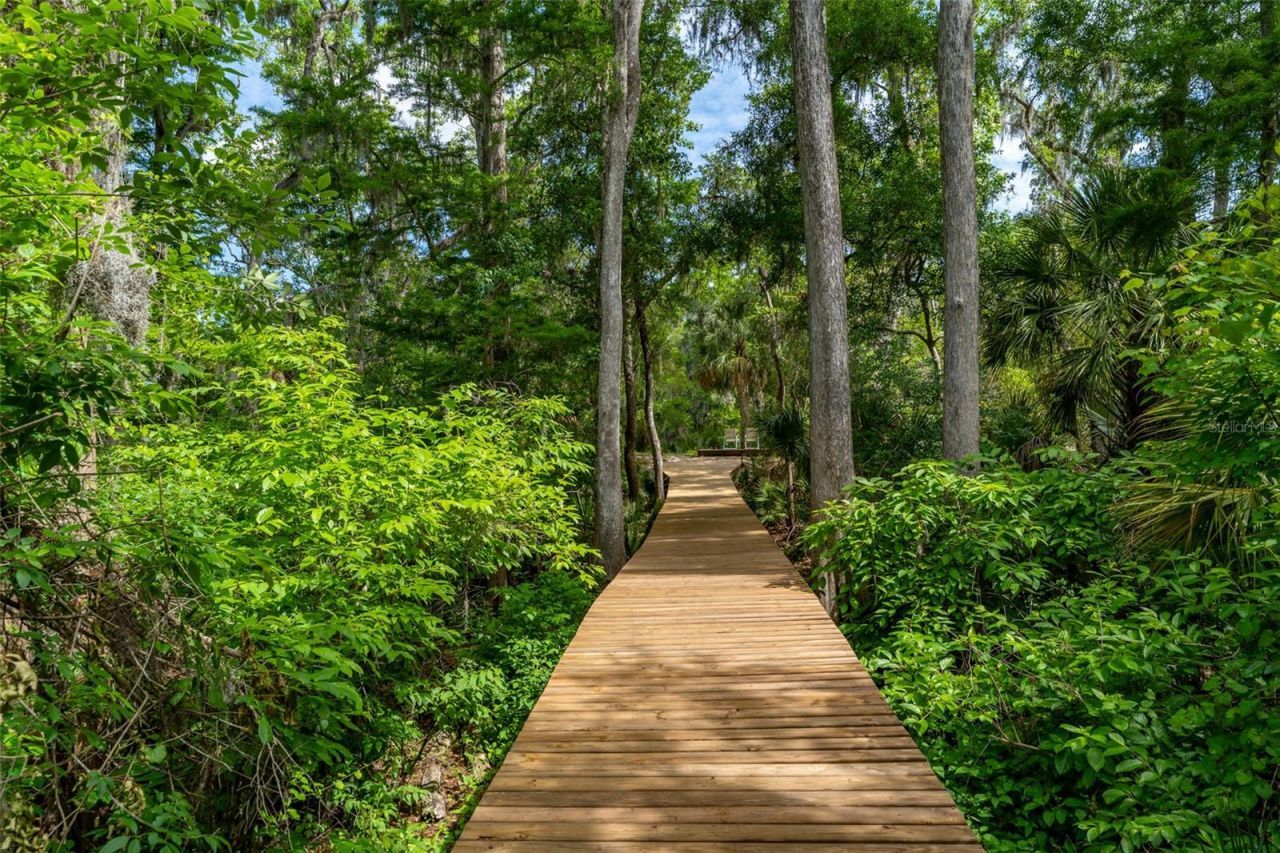 8214 Revels Road, Riverview, FL 33569 Photo