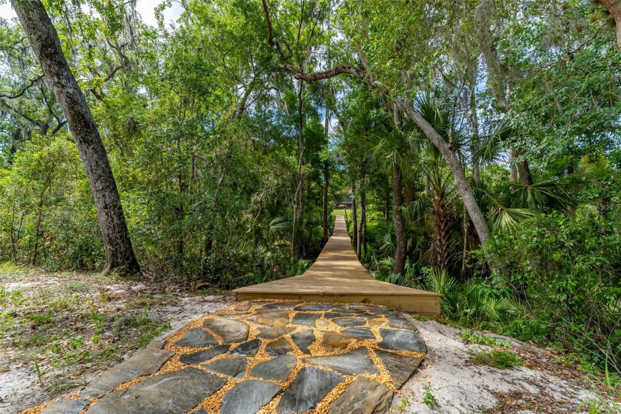 8214 Revels Road, Riverview, FL 33569 Photo