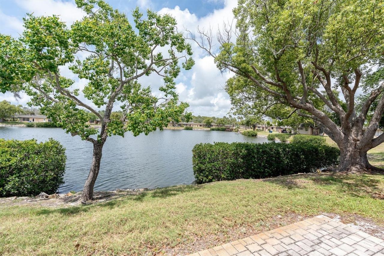 4145 Hampton Drive , New Port Richey, FL 34652 Photo