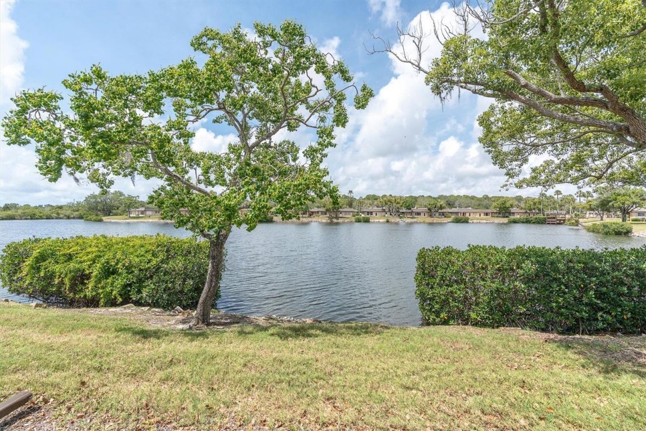 4145 Hampton Drive , New Port Richey, FL 34652 Photo