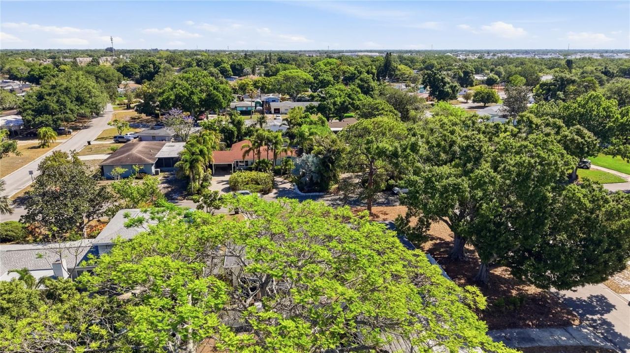 7700 16th Avenue N, Saint Petersburg, FL 33710 Photo
