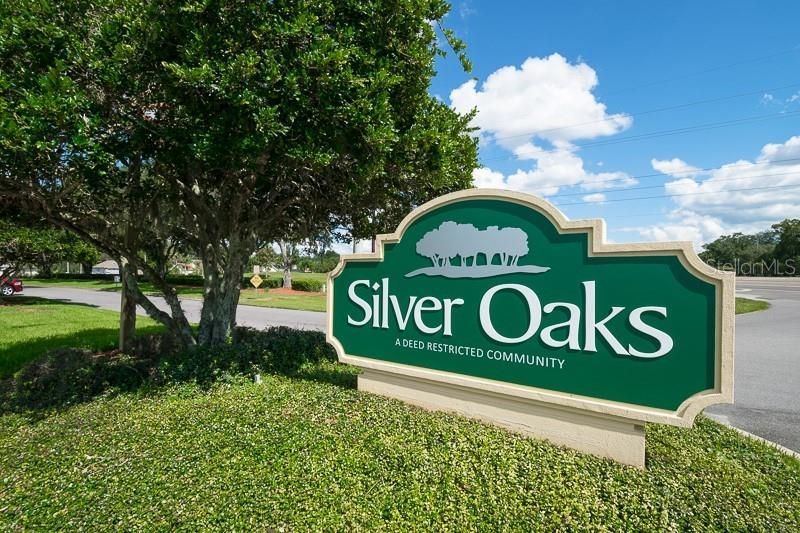 6132 Silver Oaks Drive , Zephyrhills, FL 33542 Photo