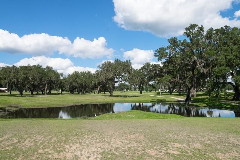 6132 Silver Oaks Drive , Zephyrhills, FL 33542 Photo