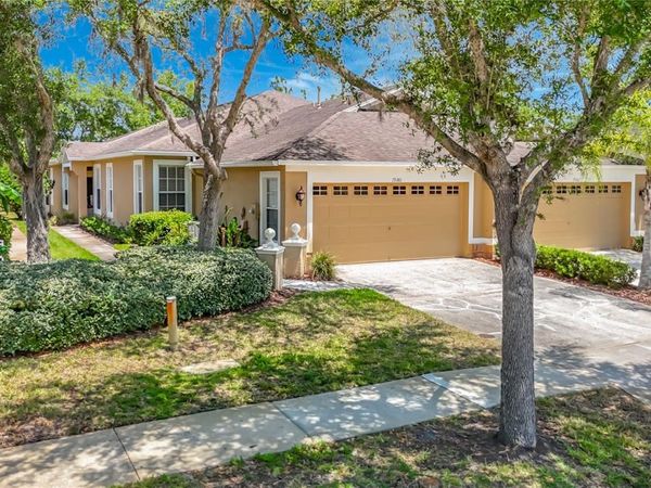 19180 LAKE AUDUBON DRIVE , TAMPA, FL 33647