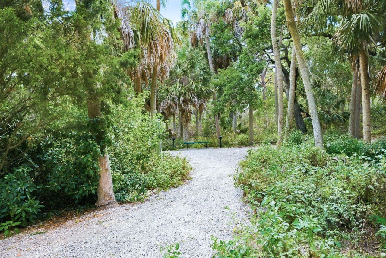 3201 Nautical Place S, Saint Petersburg, FL 33712 Photo