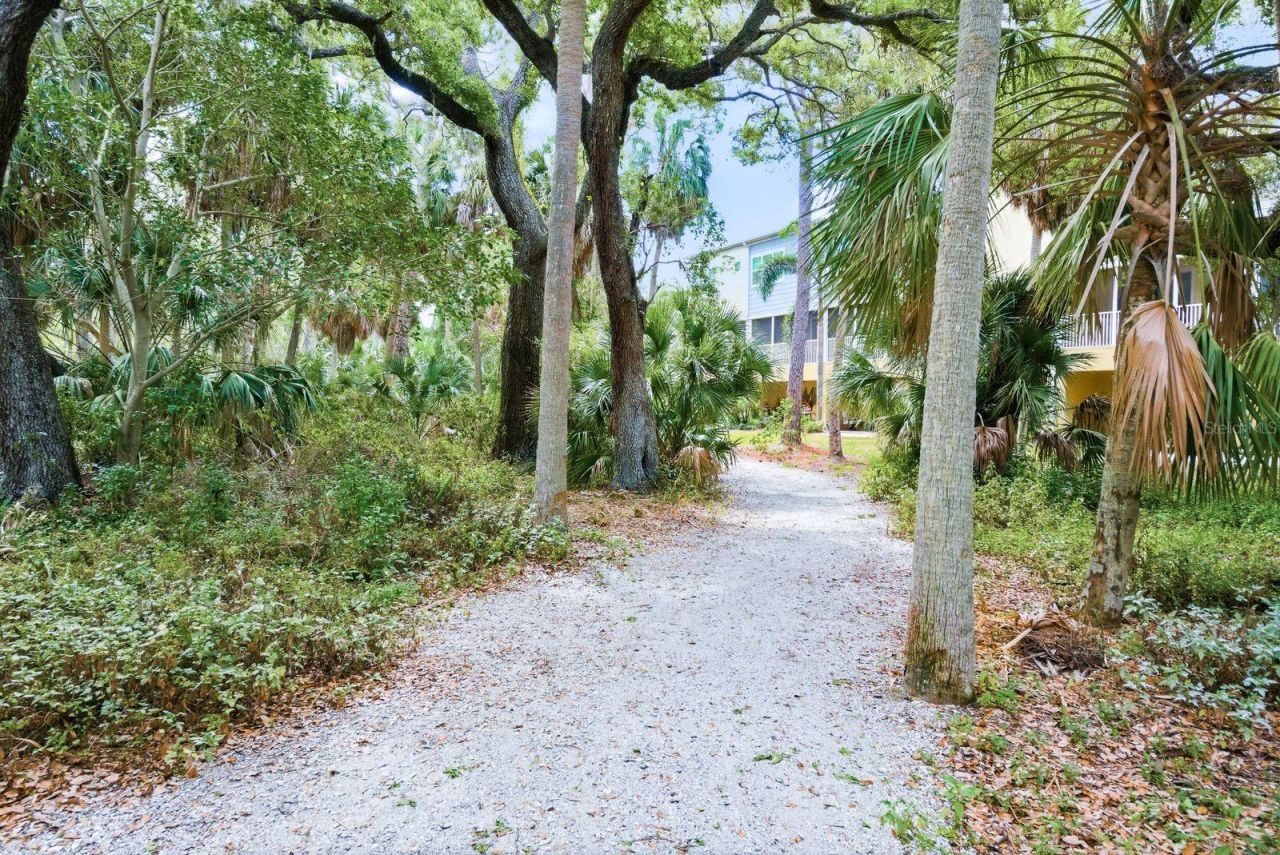 3201 Nautical Place S, Saint Petersburg, FL 33712 Photo