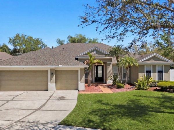 19328 AUTUMN WOODS AVENUE, TAMPA, FL 33647