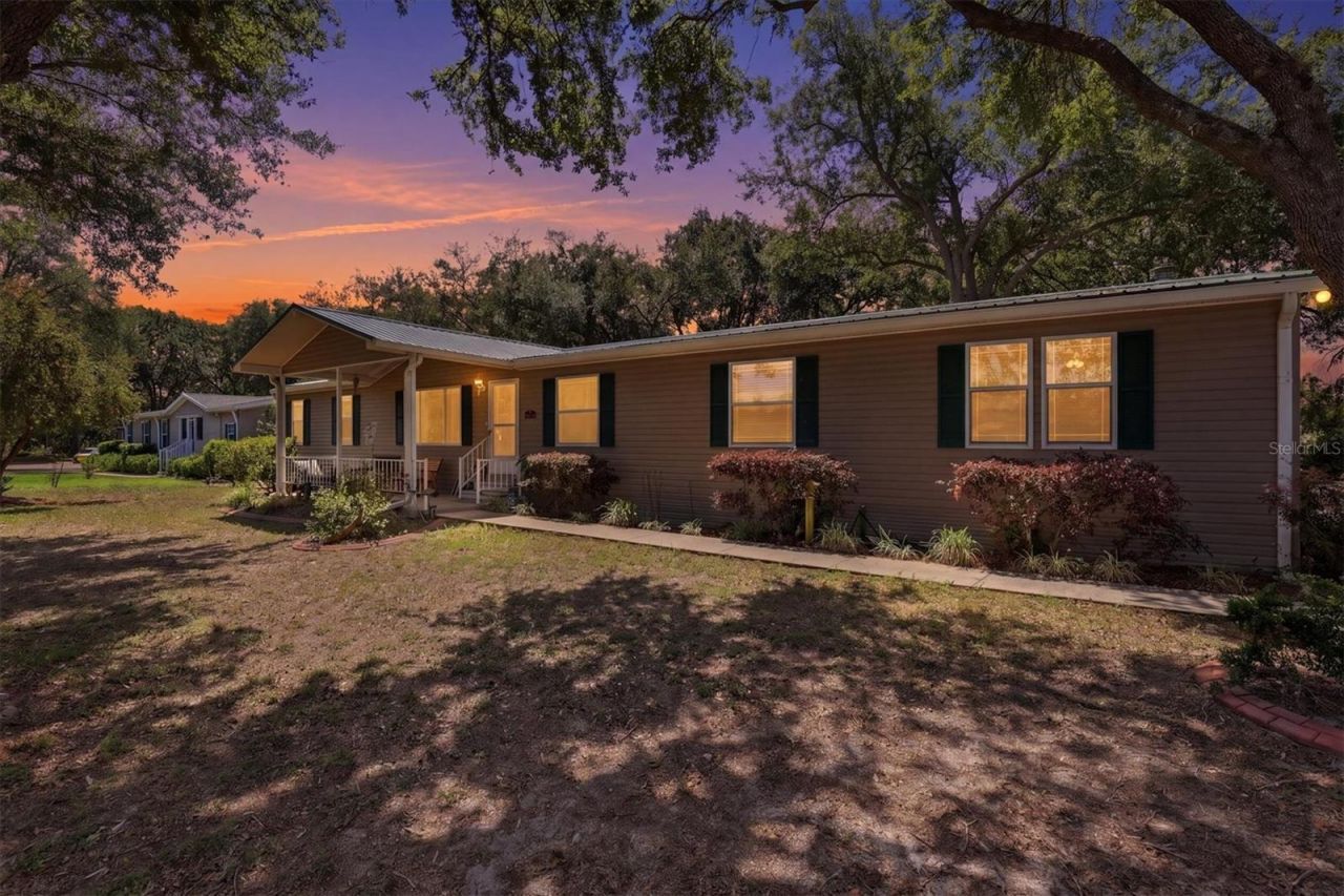 33906 Coddle Court, Wesley Chapel, FL 33543 Main Photo