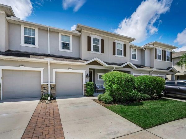 26399 LIMESTONE SPRINGS WAY, WESLEY CHAPEL, FL 33544