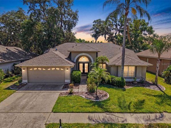 8435 BASUTO DR, TRINITY, FL 34655