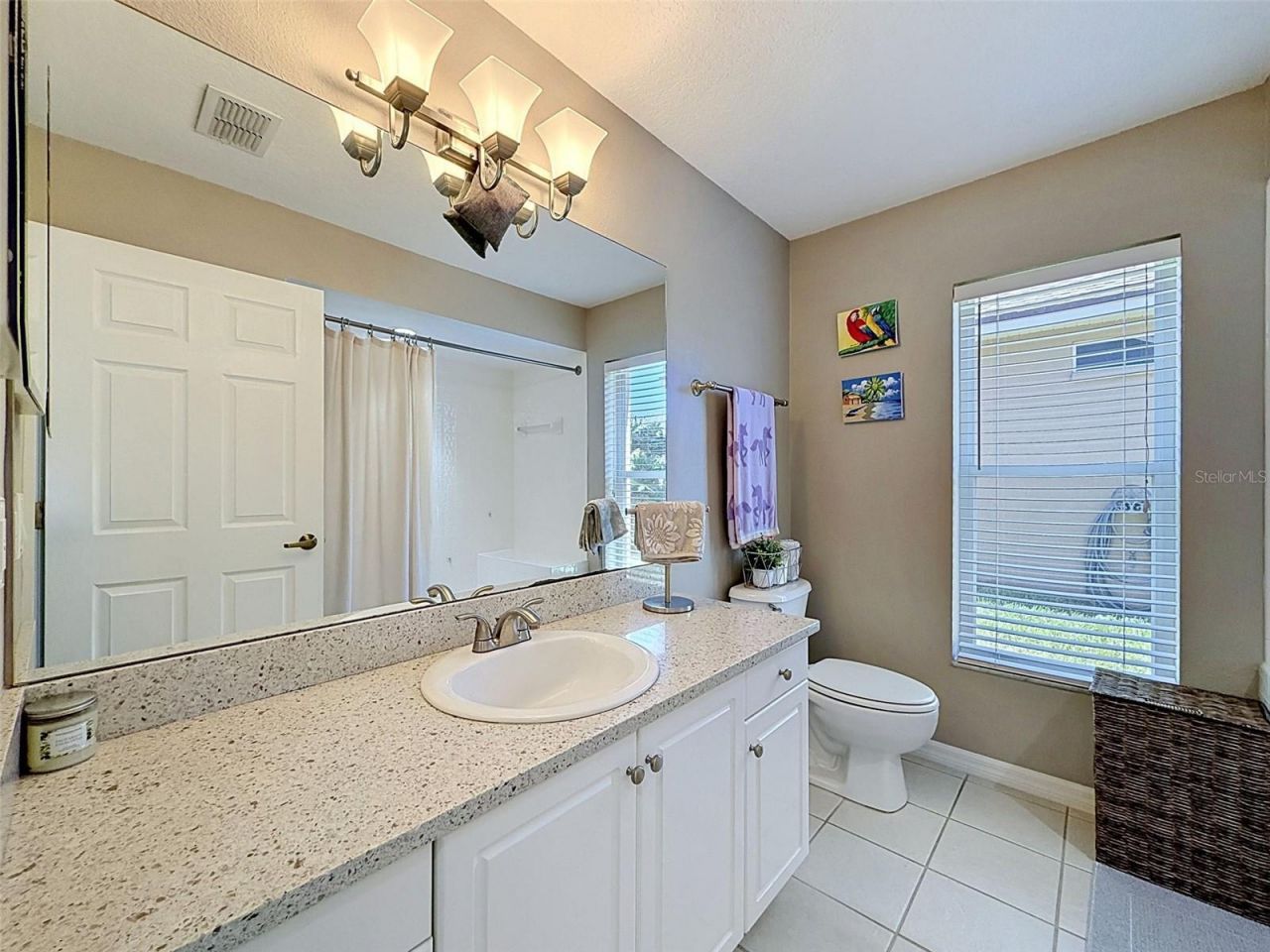 8435 Basuto Dr, Trinity, FL 34655 Photo