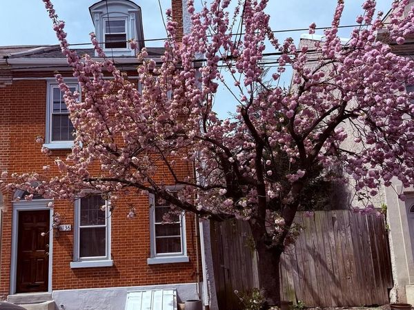 1138 N 3RD STREET , PHILADELPHIA, PA 19123