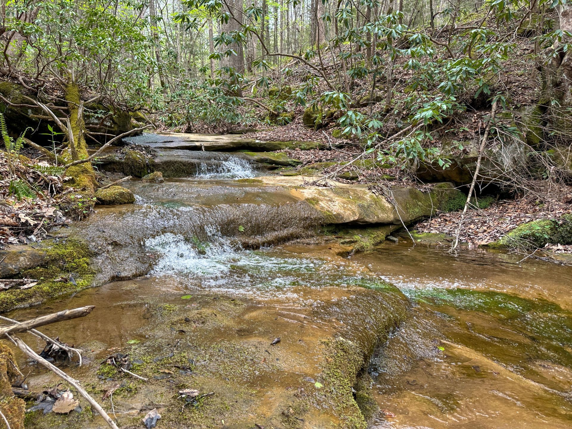 0 Dryfork Road, Helton, KY 40840 Main Photo
