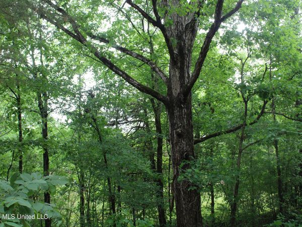 590 Richmond Road, Byhalia, MS 38611