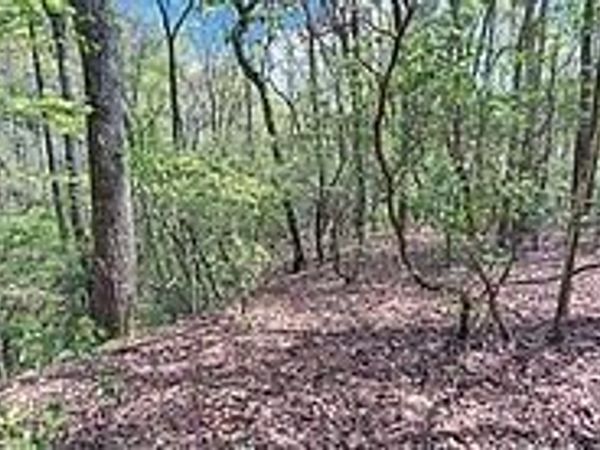 t-2 Clayton Gooch Road, Dahlonega, GA 30533