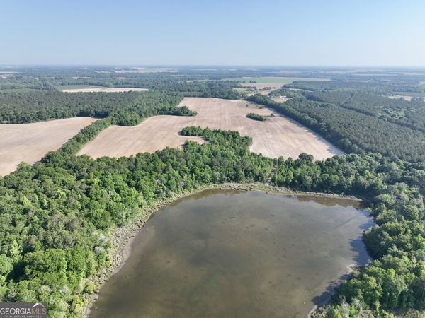 0 Folds Road, Pineview, GA 31071