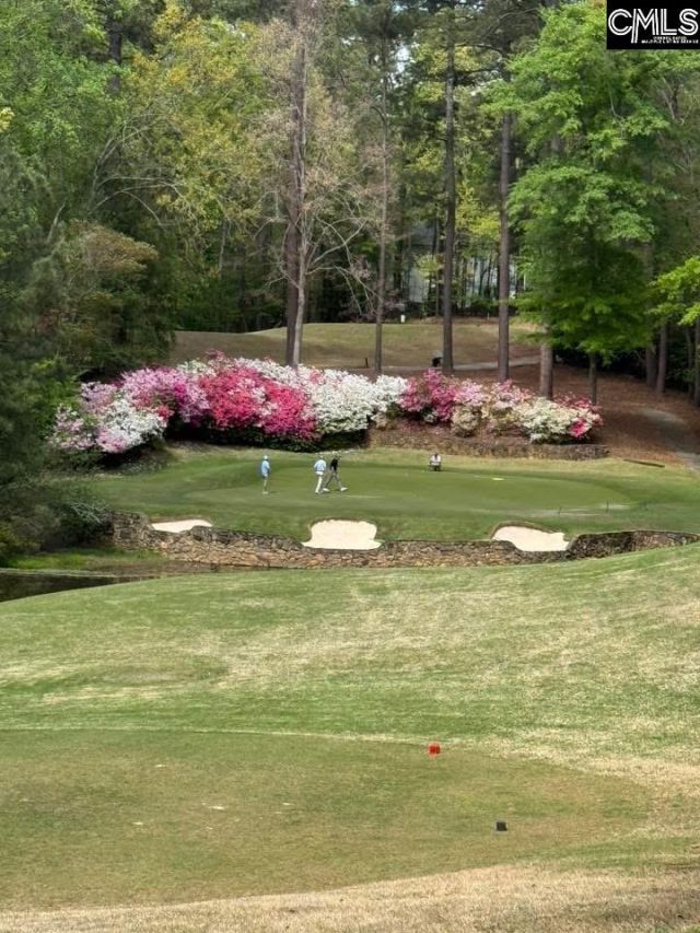 234 Clayborn Drive Photo 49
