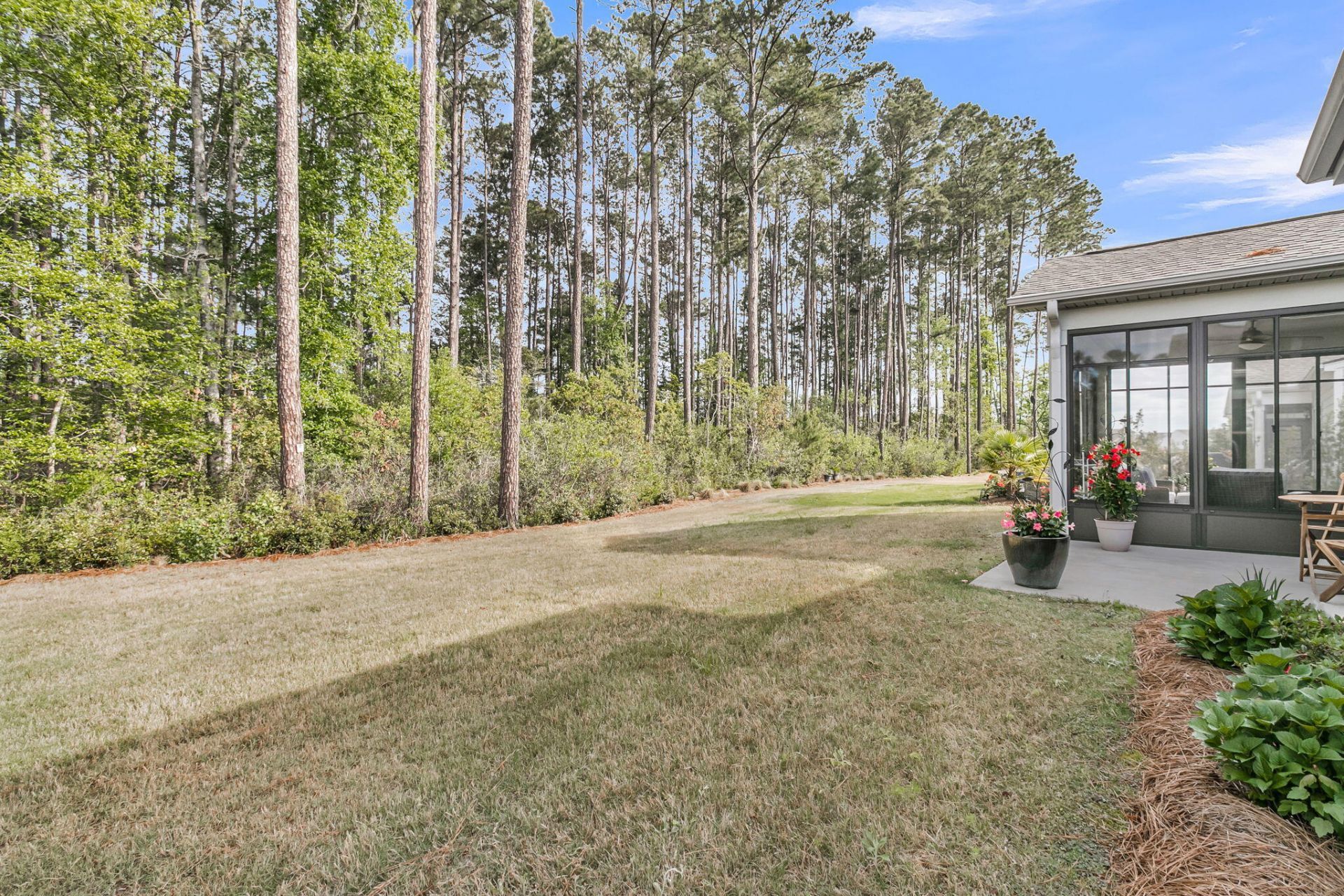 153 Hedera Court Photo 38