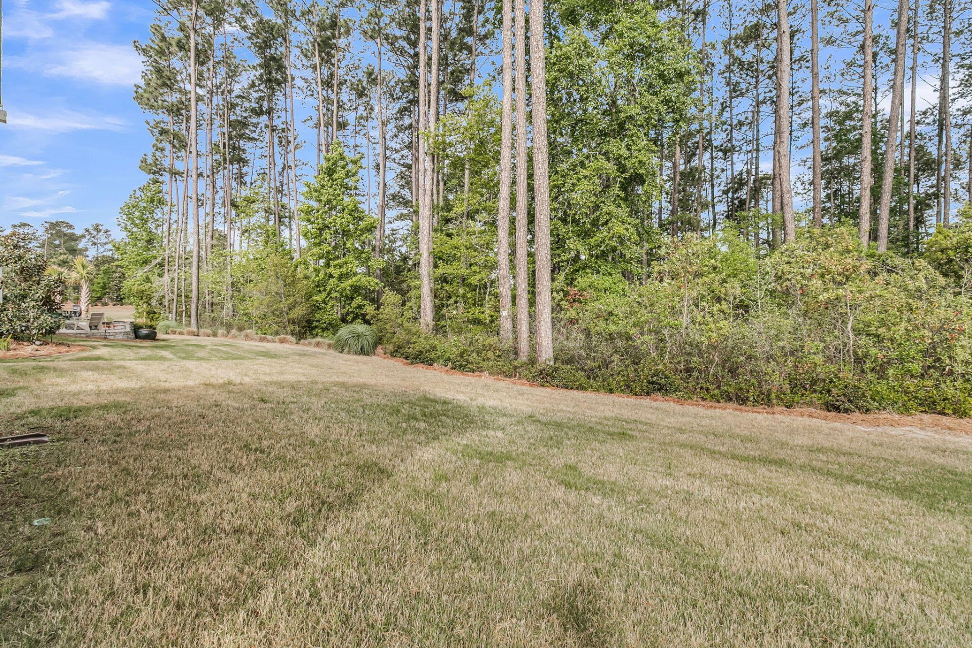 153 Hedera Court Photo 39